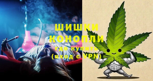 амф Алзамай